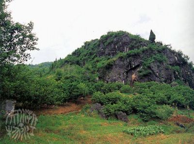 A scenic view of Hangzhou Wuguidong Yizhi