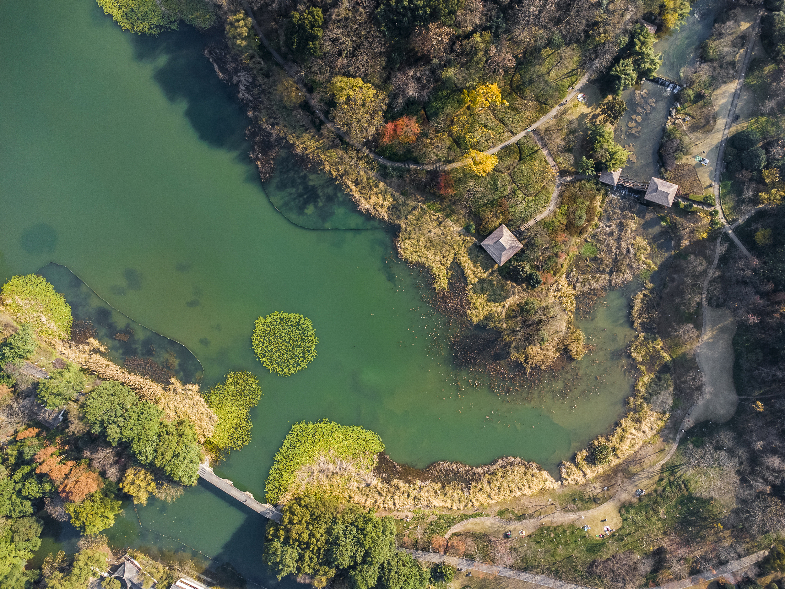 A scenic view of Hangzhou Wuguidong Yizhi