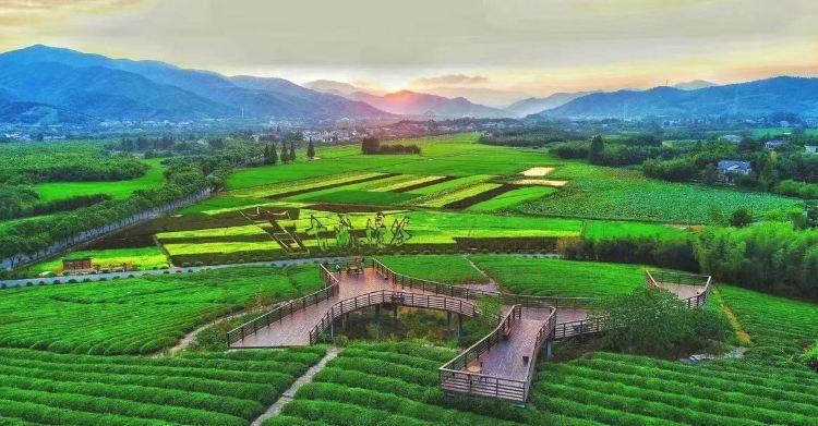 A scenic view of Hangzhou Xiaogucheng Yizhi