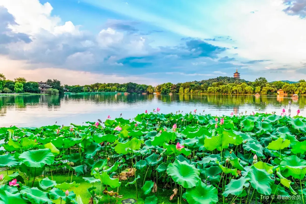 A scenic view of Hangzhou Xihu Shijing