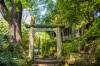 A scenic view of Hangzhou Xiling Yinshe
