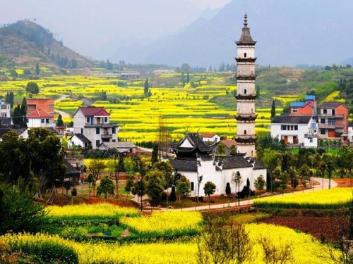 A scenic view of Hangzhou Xinyecun Xiangtu Jianzhu