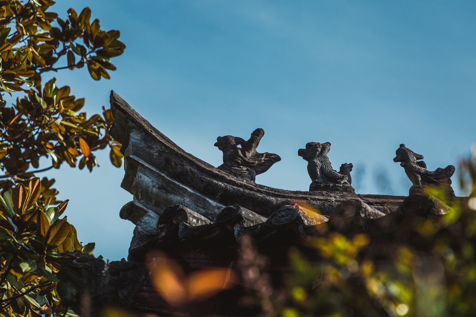 A scenic view of Hanzhong Zhang Qian Tomb