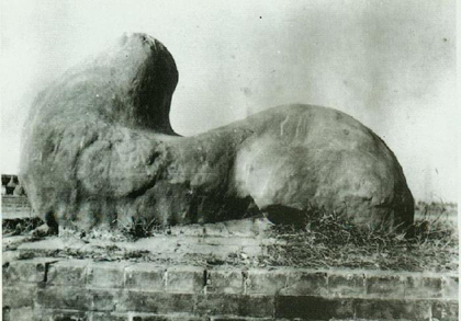 A scenic view of Hanzhong Zhang Qian Tomb