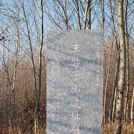 A scenic view of Harbin Wangbozishan Yizhiqun