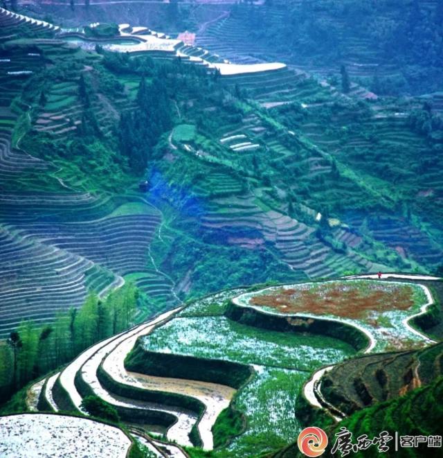 A scenic view of Hechi Fengtengshan Gumuqun