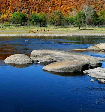 A scenic view of Hegang Zhongxing Chengzhi