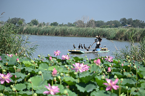 A scenic view of Hengshui Jizhou Ancient City Site