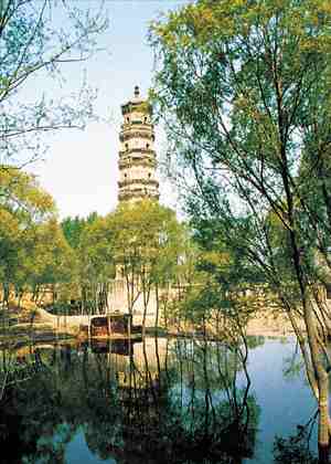 A scenic view of Hengshui Qinglin Temple Pagoda