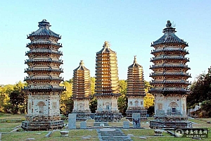 A scenic view of Hengshui Qinglin Temple Pagoda
