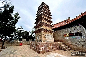 A scenic view of Hengshui Qinglin Temple Pagoda