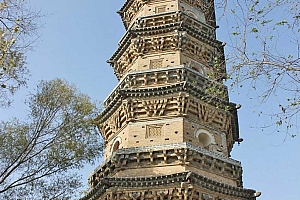 A scenic view of Hengshui Qinglin Temple Pagoda