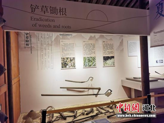 A scenic view of Hengshui Shenzhou Yingyi Yicang