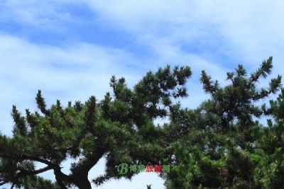 A scenic view of Hengyang Shuikoushan Qianxinkuang Yezhi