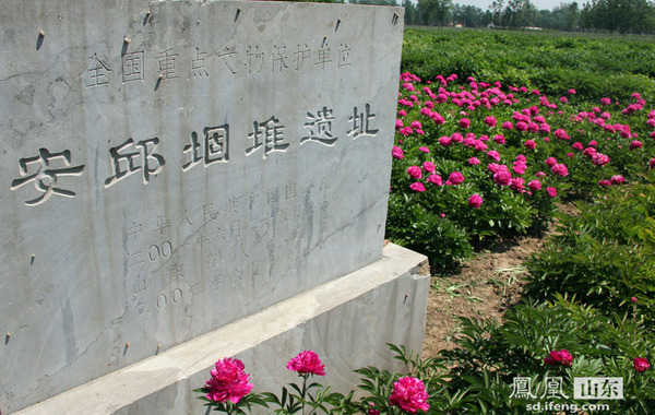 A scenic view of Heze Anqiu Gudui Yizhi