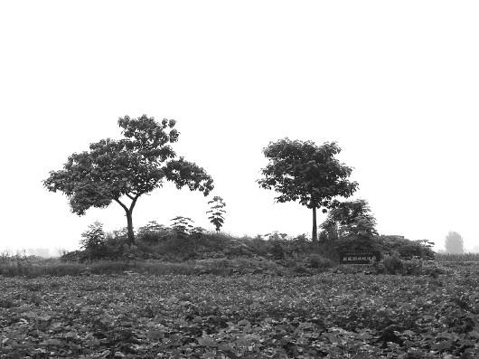 A scenic view of Heze Changyi Gucheng Zhi