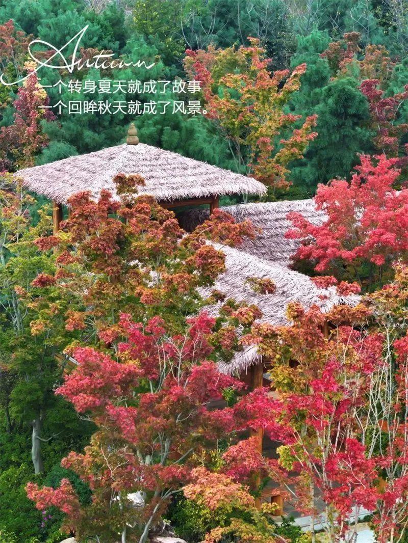 A scenic view of Honghe Luxi Wanshousi Sanfodian