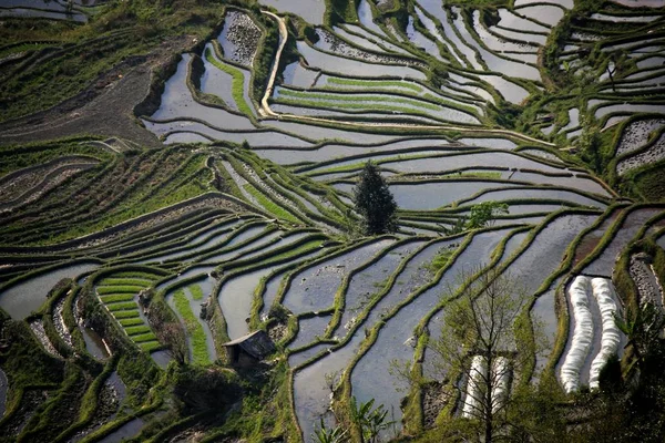 A scenic view of Honghe Zhoujia Zhaiyuan