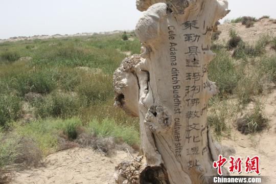A scenic view of Hotan Damagou Fosi Yizhi