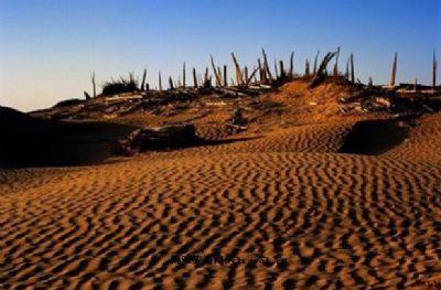 A scenic view of Hotan Niya Yizhi