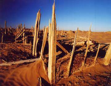 A scenic view of Hotan Niya Yizhi