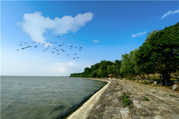 A scenic view of Huaian Hongzehu Dadi