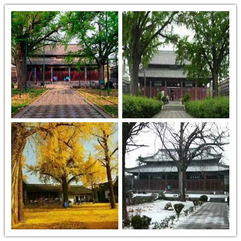A scenic view of Huainan Shouxian Qingzhensi