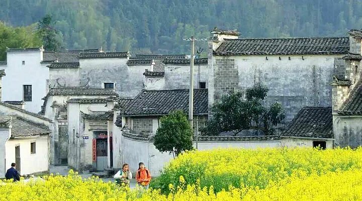 A scenic view of Huangshan Changqingsi Ta