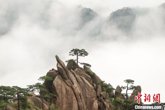 A scenic view of Huangshan Hongjia Dawu