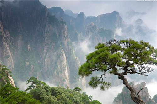 A scenic view of Huangshan Hongjia Dawu