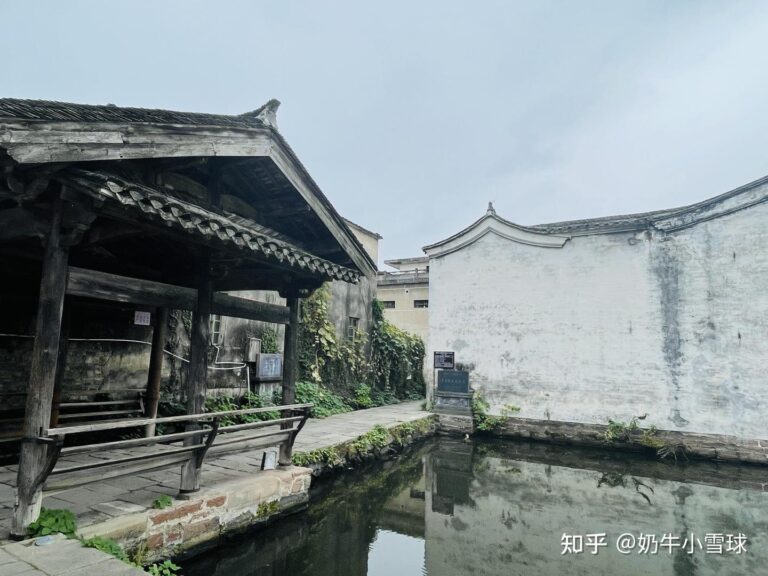 Huangshan Laowuge Ji Lvraoting: A Hidden Gem for Nature Lovers in Anhui