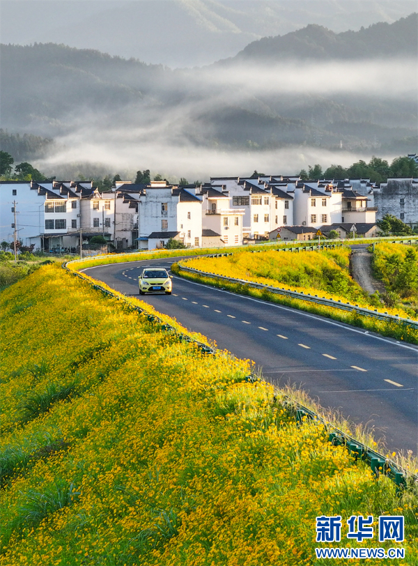 A scenic view of Huangshan Xiuning Tongantang