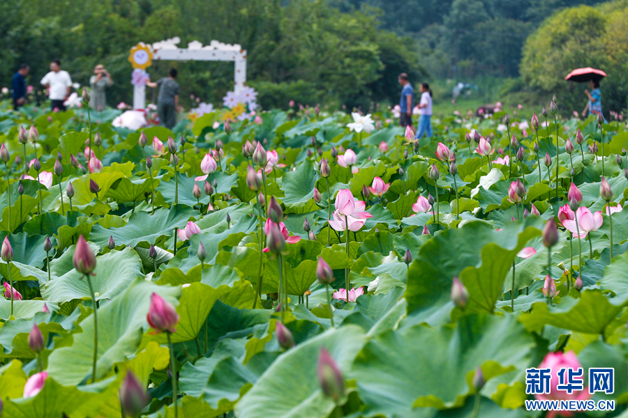 A scenic view of Huangshan Xiuning Tongantang