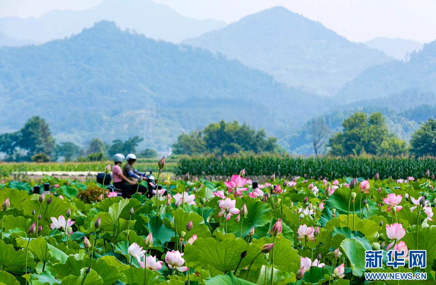 A scenic view of Huangshan Xiuning Tongantang