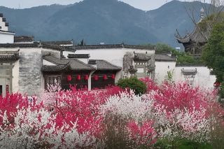 A scenic view of Huangshan Zhushan Shuyuan