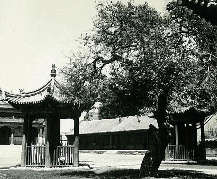 A scenic view of Huhehaote Dazhao