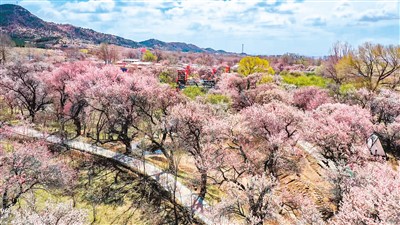 A scenic view of Huhehaote Wusutuzhao