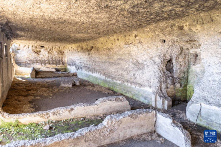 Unveiling Bayanhanribenduqishiyanchangyizhi: A Unique Experience in Hulunbuir