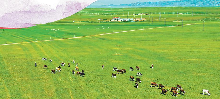 A scenic view of Hulunbuir Bayanwulachengzhi