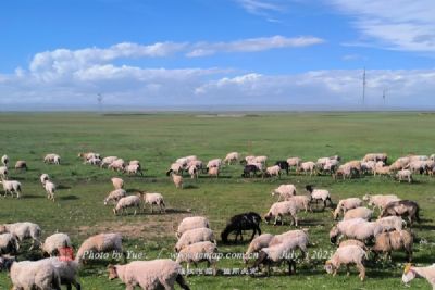 A scenic view of Hulunbuir Bayanwulachengzhi