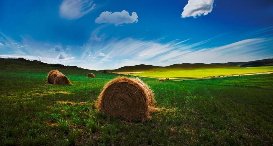 A scenic view of Hulunbuir Hakeyizhi