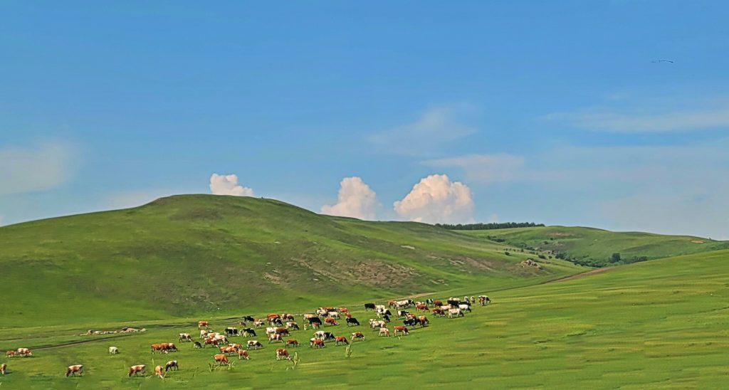 A scenic view of Hulunbuir Xieertalamudi