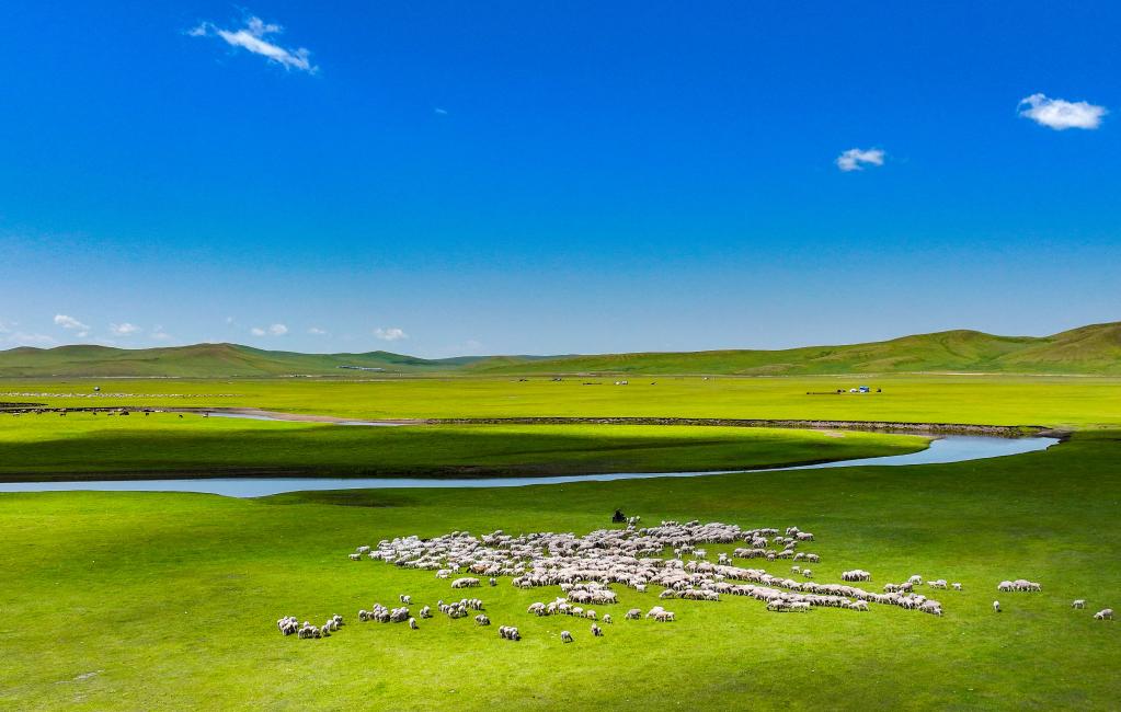 A scenic view of Hulunbuir Zhalainuoermuqun