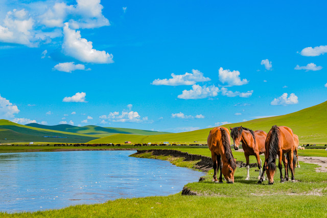 A scenic view of Hulunbuir Zhalainuoermuqun