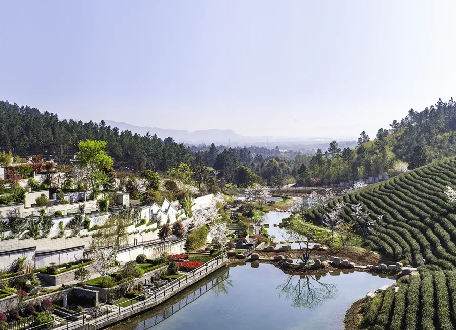 A scenic view of Huzhou Anji Gucheng Yizhi Longshan Yueguo Guizu Muqun