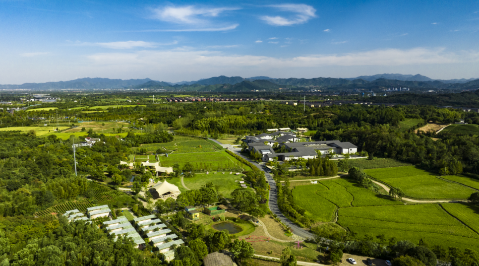 A scenic view of Huzhou Anji Gucheng Yizhi Longshan Yueguo Guizu Muqun