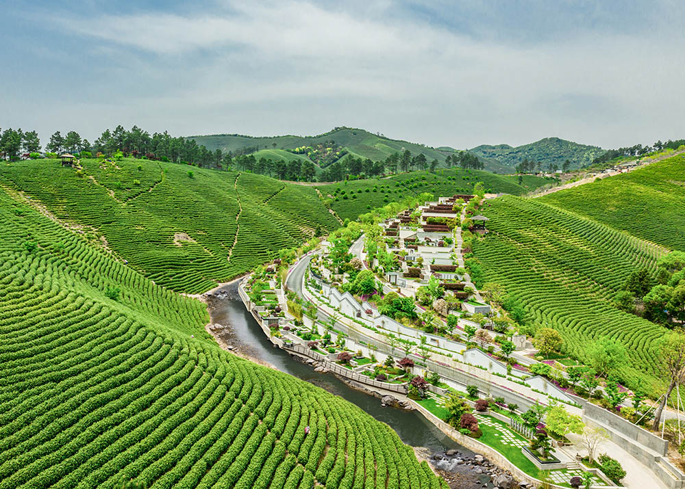 A scenic view of Huzhou Anji Gucheng Yizhi Longshan Yueguo Guizu Muqun