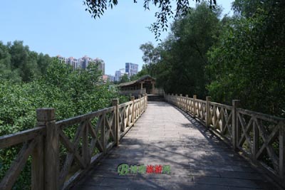 A scenic view of Huzhou Anji Yongansi Ta