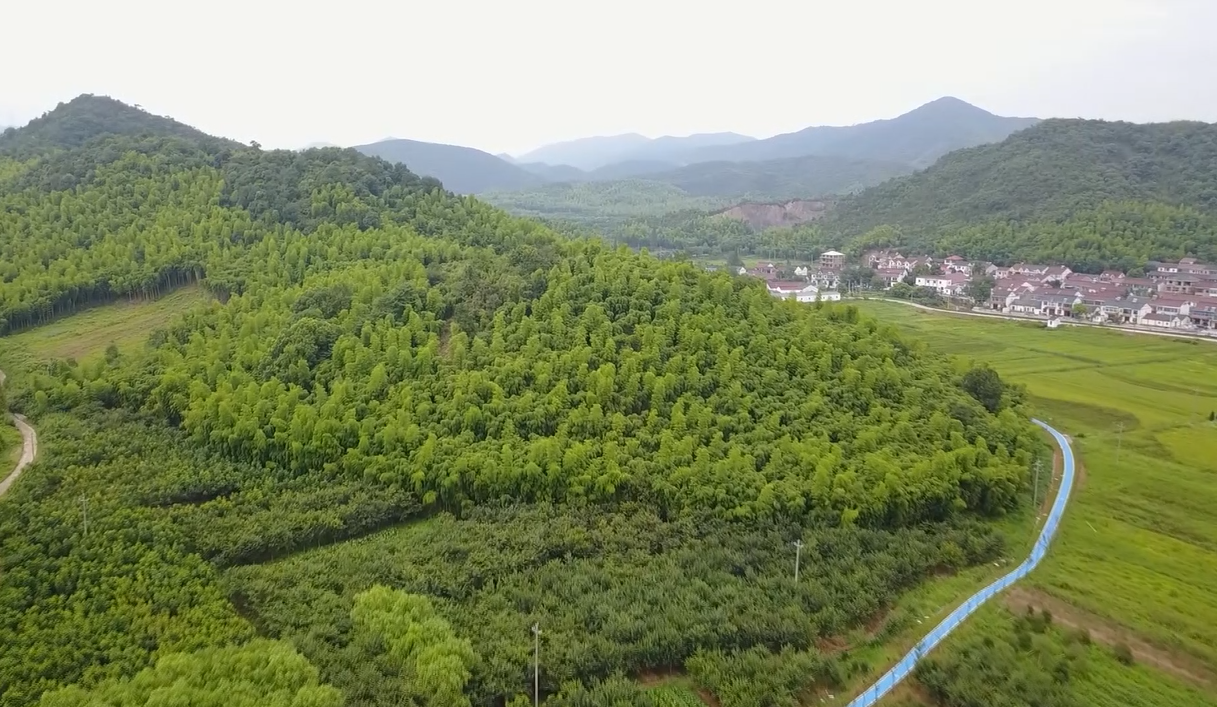 A scenic view of Huzhou Daochangshan Qinian Tiji
