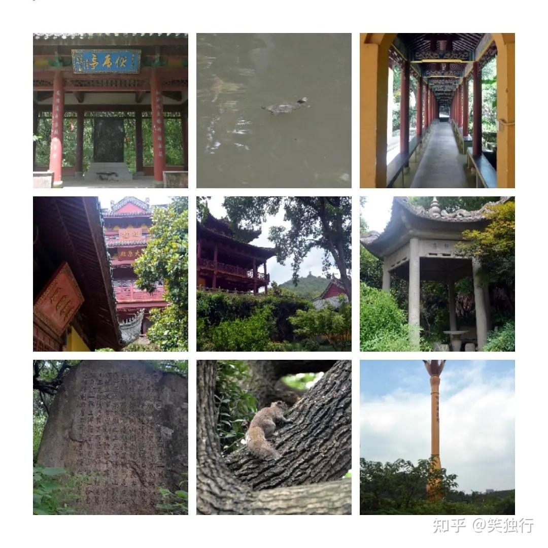 A scenic view of Huzhou Daochangshan Qinian Tiji